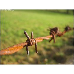 Eindruecke-Actionfoto24_de-016.jpg