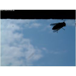 Eindruecke-Actionfoto24_de-019.jpg
