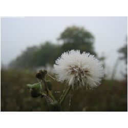 Eindruecke-Actionfoto24_de-031.jpg