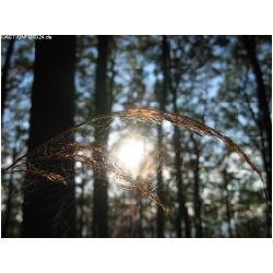 Licht-Schatten-Actionfoto24_de-010.jpg