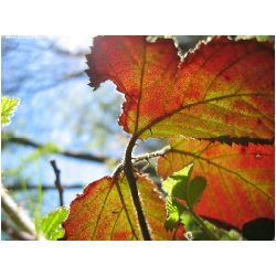 Licht-Schatten-Actionfoto24_de-011.jpg
