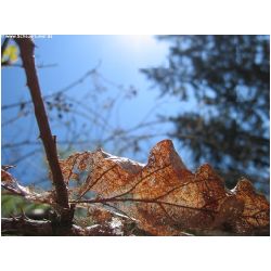 Licht-Schatten-Actionfoto24_de-012.jpg