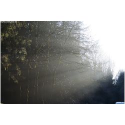 Licht-Schatten-Actionfoto24_de-015.jpg