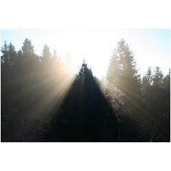 Licht-Schatten-Actionfoto24_de-018.jpg