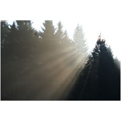 Licht-Schatten-Actionfoto24_de-019.jpg