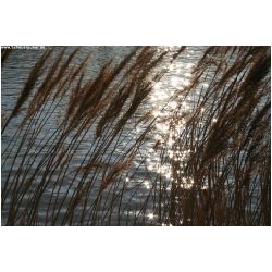 Licht-Schatten-Actionfoto24_de-021.jpg