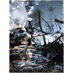 Licht-Schatten-Actionfoto24_de-026.jpg