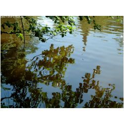 Wasser-Actionfoto24_de_001.jpg