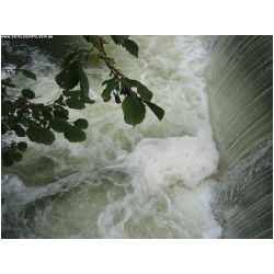 Wasser-Actionfoto24_de_008.jpg