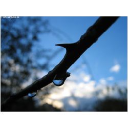 Wasser-Actionfoto24_de_011.jpg