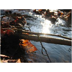 Wasser-Actionfoto24_de_019.jpg