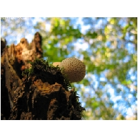 Makro-Actionfoto24_de-003.jpg