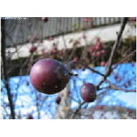 Makro-Actionfoto24_de-006.jpg