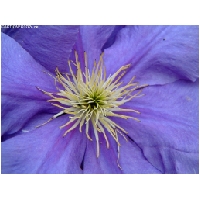 Makro-Actionfoto24_de-010.jpg