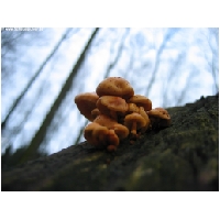 Makro-Actionfoto24_de-016.jpg