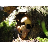 Makro-Actionfoto24_de-017.jpg