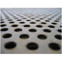 Makro-Actionfoto24_de-018.jpg