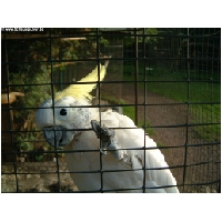 Tierwelt-Actionfoto24_de_025.jpg