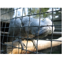Tierwelt-Actionfoto24_de_040.jpg