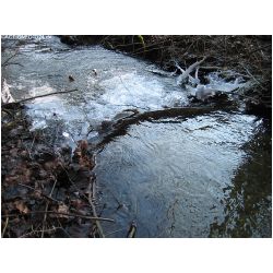 Wasser-Actionfoto24_de_016.jpg