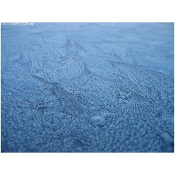 Winter-ACTIONFOTO24-de_002.jpg