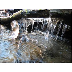Winter-ACTIONFOTO24-de_007.jpg