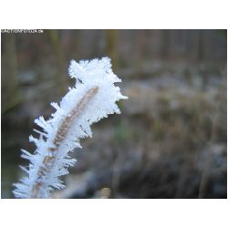 Winter-ACTIONFOTO24-de_011.jpg