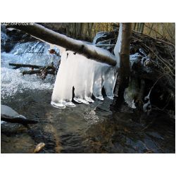 Winter-ACTIONFOTO24-de_015.jpg