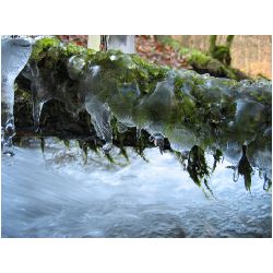 Winter-ACTIONFOTO24-de_020.jpg