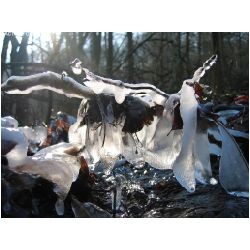 Winter-ACTIONFOTO24-de_023.jpg