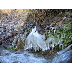 Winter-ACTIONFOTO24-de_028.jpg