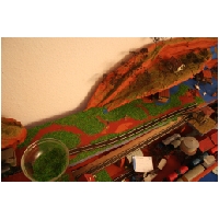 Modellbahn-HO-ActionFoto24.de-063.jpg