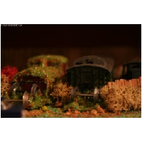 Modellbahn-HO-ActionFoto24.de-116.jpg