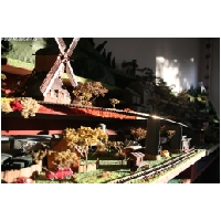 Modellbahn-HO-ActionFoto24.de-189.jpg