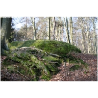 Bodenstein-Klippen-ACTIONFOTO24-de_003.jpg