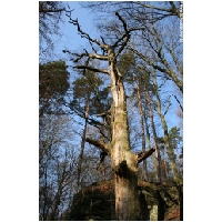 Bodenstein-Klippen-ACTIONFOTO24-de_014.jpg