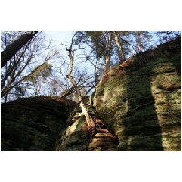 Bodenstein-Klippen-ACTIONFOTO24-de_020.jpg