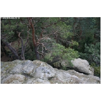 Bodenstein-Klippen-ACTIONFOTO24-de_043.jpg