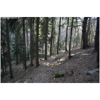 Bodenstein-Klippen-ACTIONFOTO24-de_054.jpg