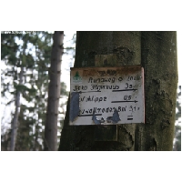 Bodenstein-Klippen-ACTIONFOTO24-de_060.jpg