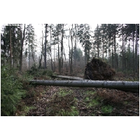 Bodenstein-Klippen-ACTIONFOTO24-de_061.jpg