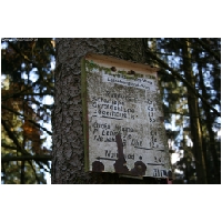 Bodenstein-Sofaklippe-ACTIONFOTO24-de_001.jpg
