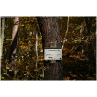 Bodenstein-Sofaklippe-ACTIONFOTO24-de_003.jpg