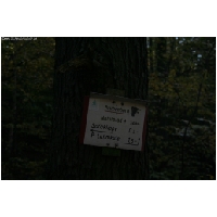 Bodenstein-Sofaklippe-ACTIONFOTO24-de_024.jpg