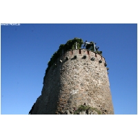 Burg-Falkenstein-Actionfoto24.de-036.jpg