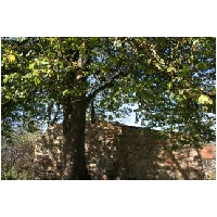 Burg-Holle-Actionfoto24.de-024.jpg