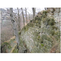 Burg-Regenstein-Harz-Actionfoto24.de-004.jpg