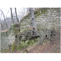 Burg-Regenstein-Harz-Actionfoto24.de-058.jpg