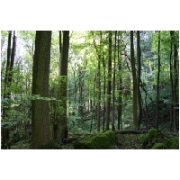 Coppenbruegge-ActionFoto24.de-002.jpg