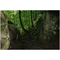 Coppenbruegge-ActionFoto24.de-005.jpg